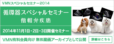 VMN スペシャルセミナー2014 循環器スペシャルセミナー 動画アーカイブ公開