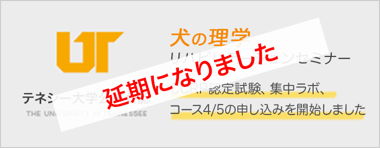 CCRP 認定試験、集中ラボ、コース4/5 開催