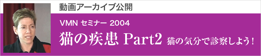 動画アーカイブを公開しました