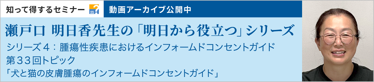 動画アーカイブを公開しました